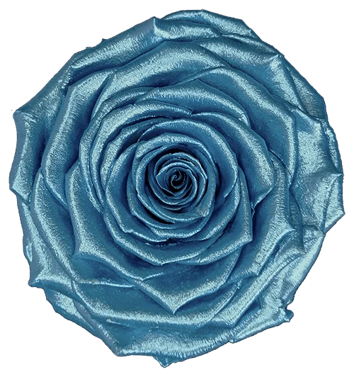 BELLA Preserved Roses Metallic - Pack 4