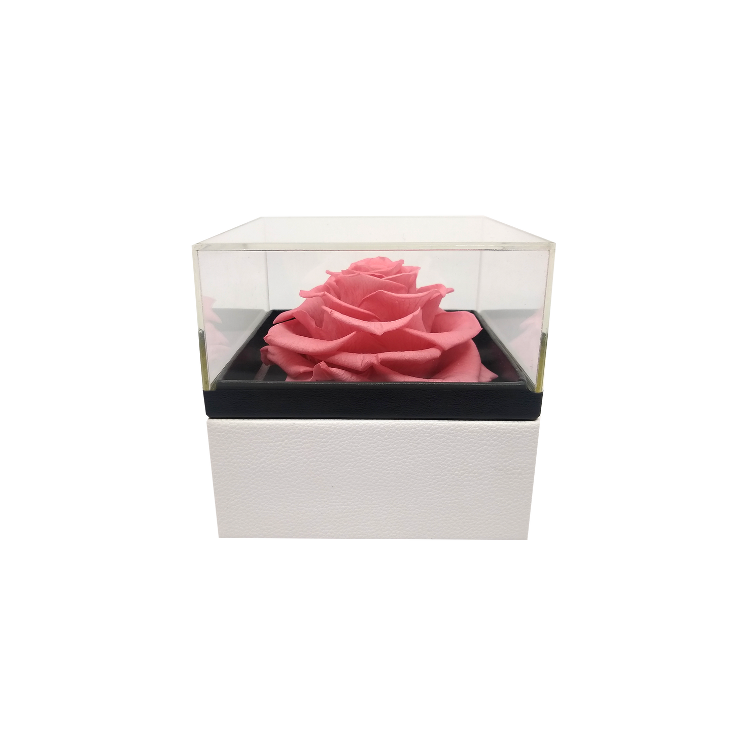 LUXURY 1 PRESERVED ROSE ARRANGEMENT - SQUARE ACRYLIC AND PU BOX