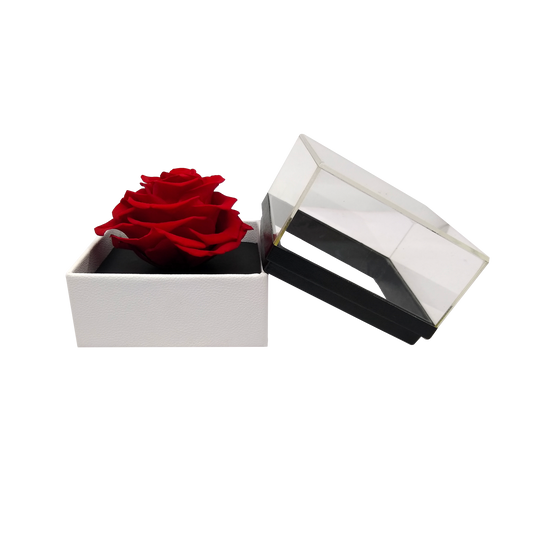 LUXURY 1 PRESERVED ROSE ARRANGEMENT - SQUARE ACRYLIC AND PU BOX