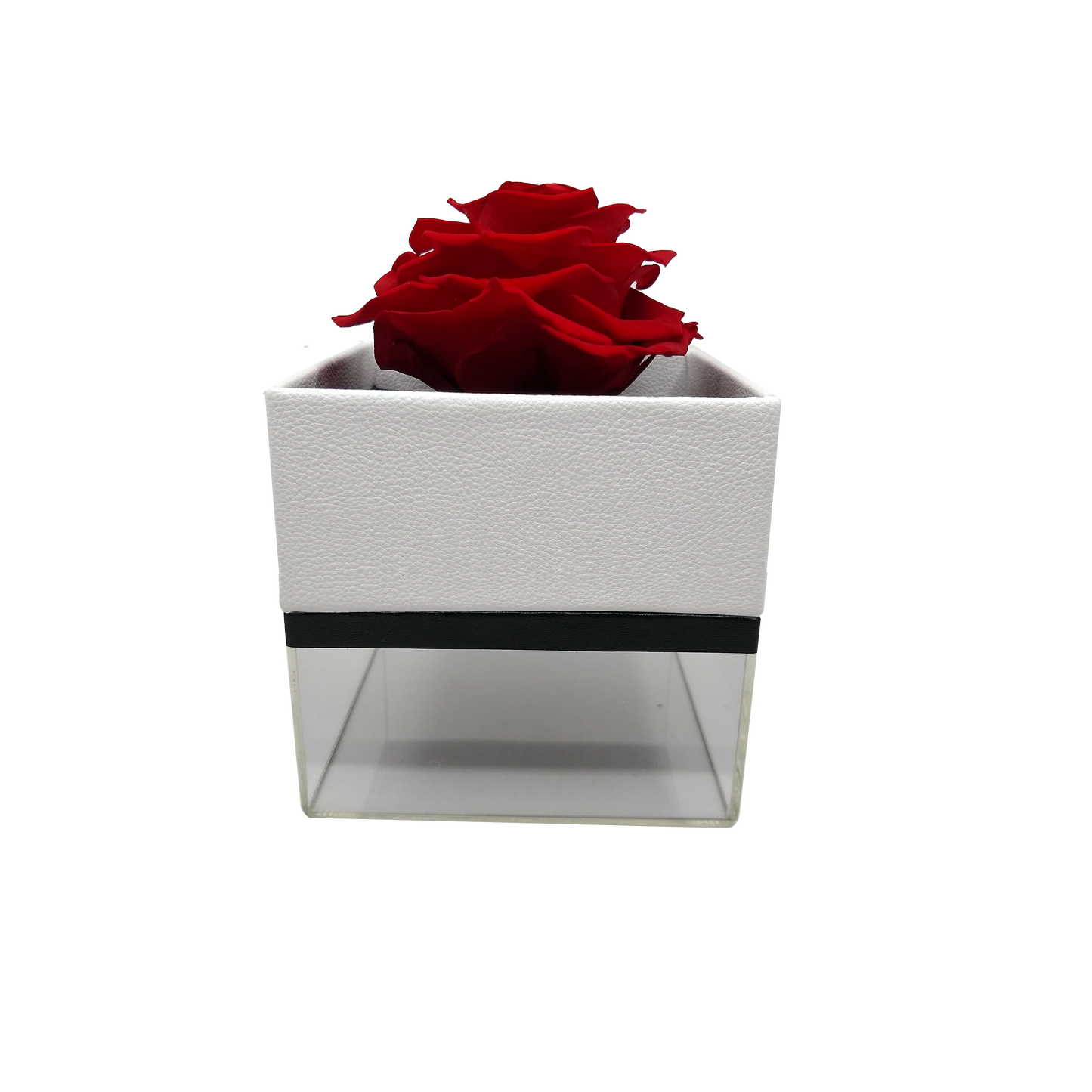 LUXURY 1 PRESERVED ROSE ARRANGEMENT - SQUARE ACRYLIC AND PU BOX
