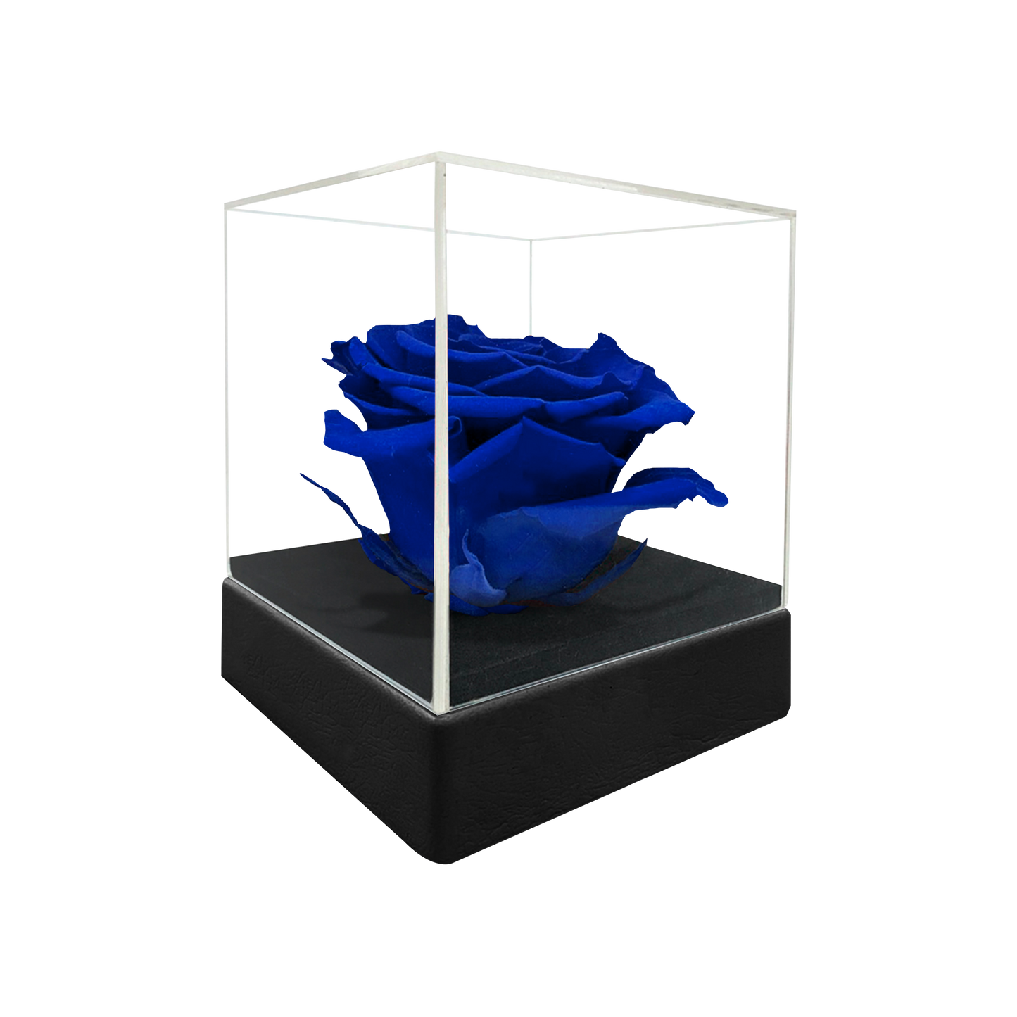 LUXURY 1 PRESERVED ROSE ARRANGEMENT - ACRYLIC TOP AND PU LEATHER BOX