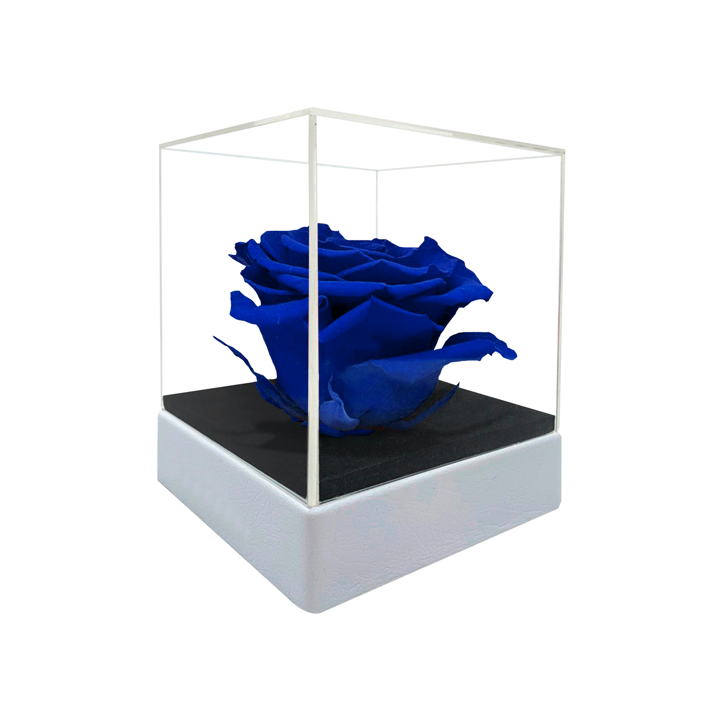 LUXURY 1 PRESERVED ROSE ARRANGEMENT - ACRYLIC TOP AND PU LEATHER BOX