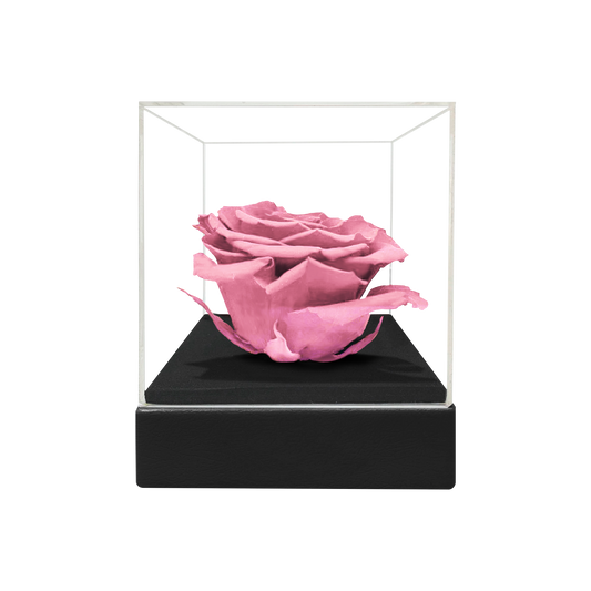 LUXURY 1 PRESERVED ROSE ARRANGEMENT - ACRYLIC TOP AND PU LEATHER BOX
