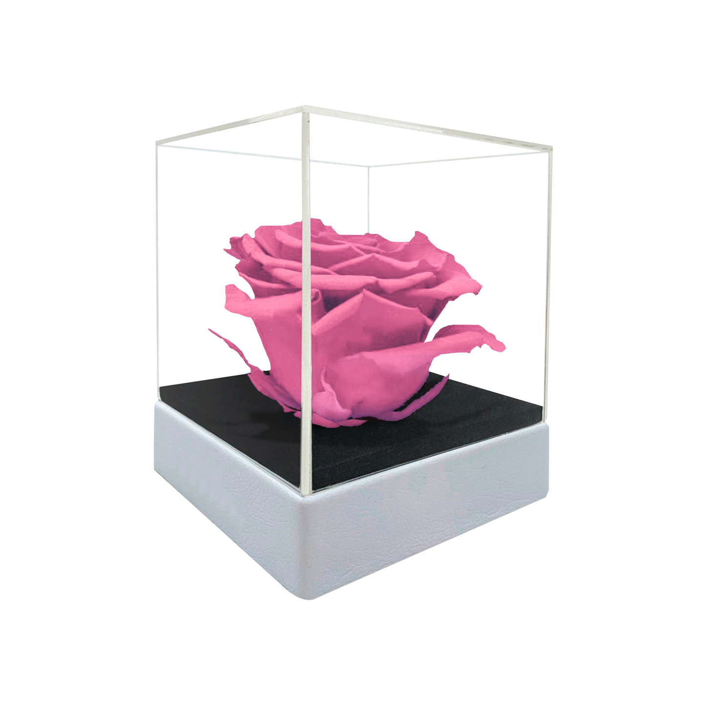 LUXURY 1 PRESERVED ROSE ARRANGEMENT - ACRYLIC TOP AND PU LEATHER BOX - BMade