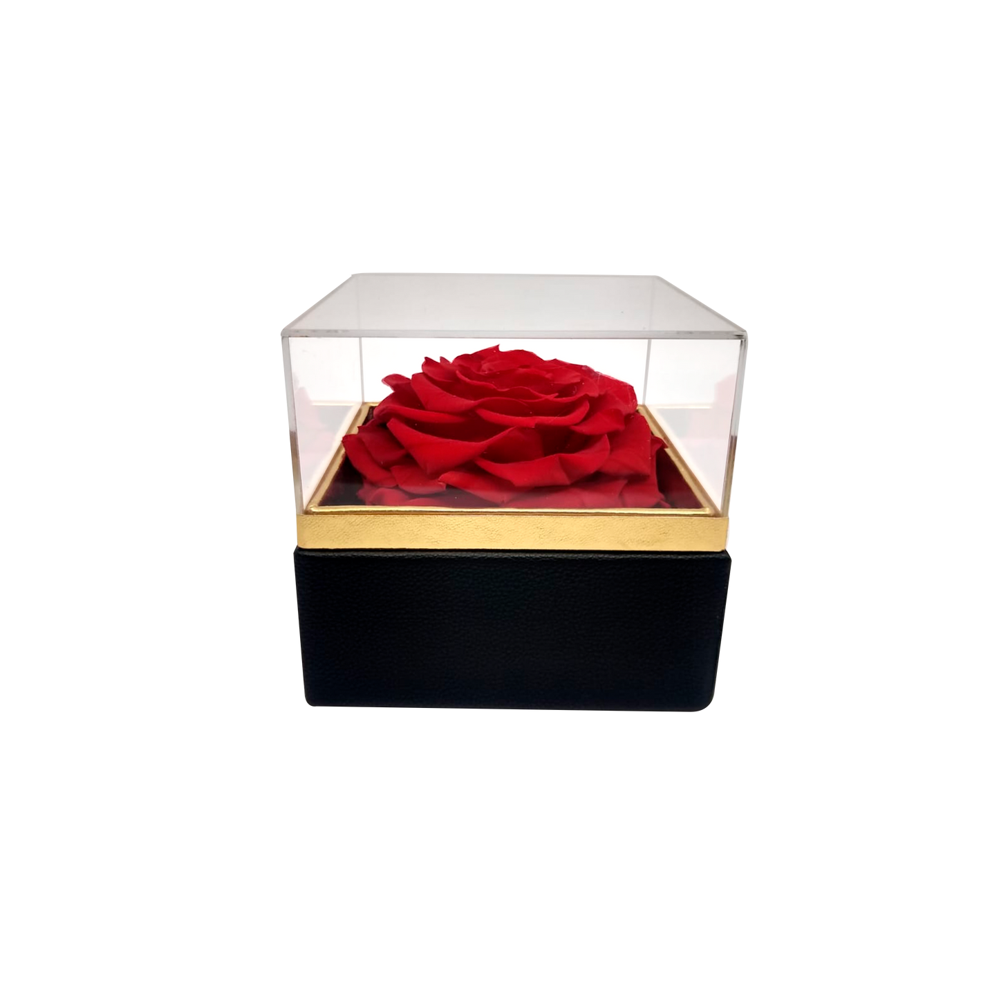 LUXURY 1 PRESERVED ROSE ARRANGEMENT - SQUARE ACRYLIC AND PU BOX