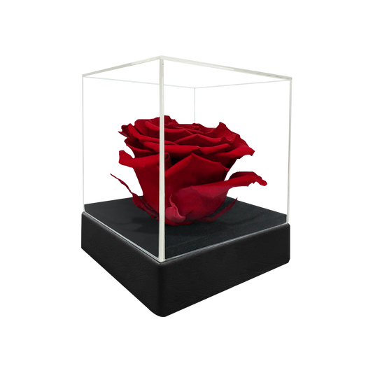 LUXURY 1 PRESERVED ROSE ARRANGEMENT - ACRYLIC TOP AND PU LEATHER BOX