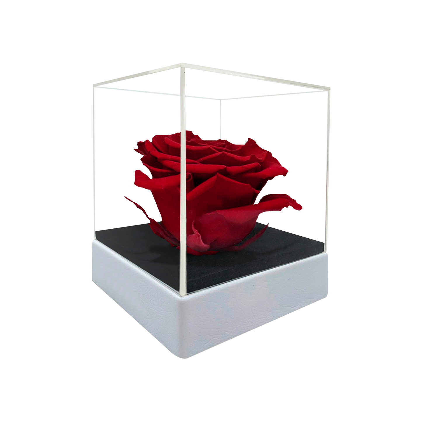 LUXURY 1 PRESERVED ROSE ARRANGEMENT - ACRYLIC TOP AND PU LEATHER BOX