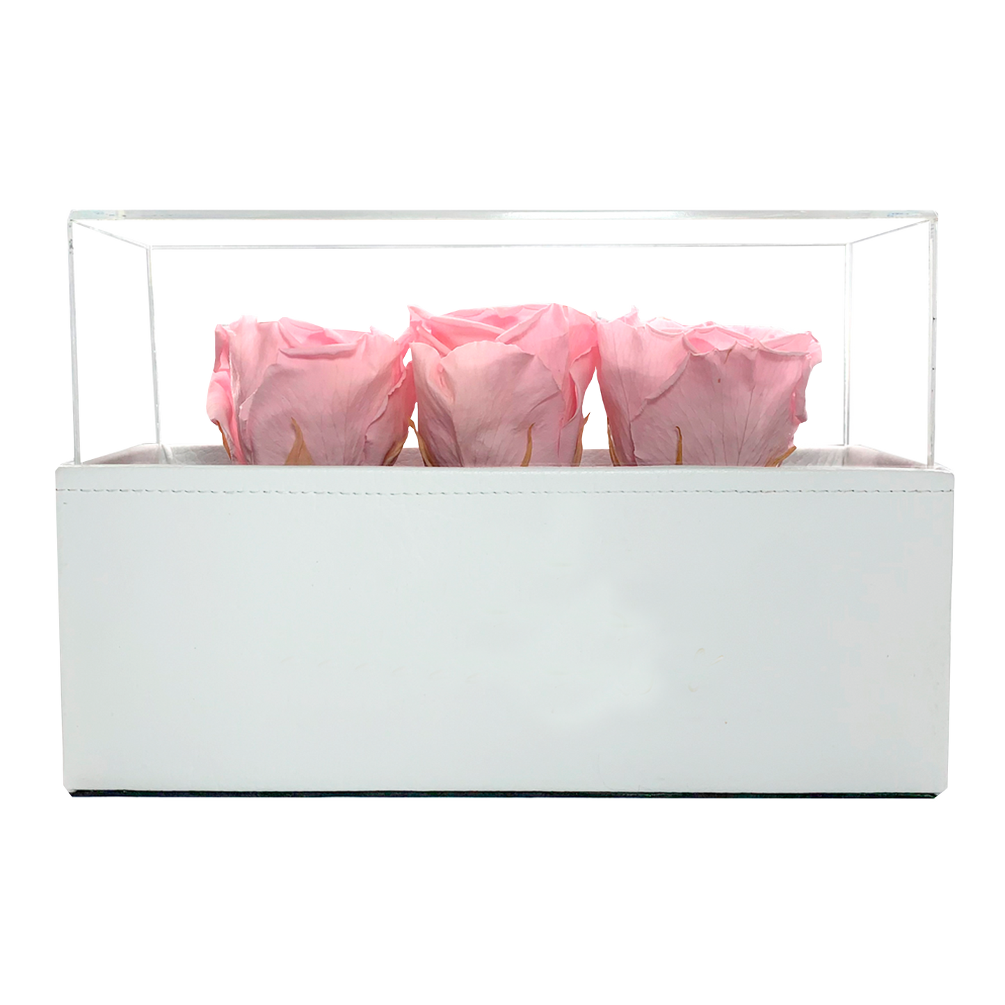 LUXURY 3 PRESERVED ROSES ARRANGEMENT - ACRYLIC TOP AND PU LEATHER BOX