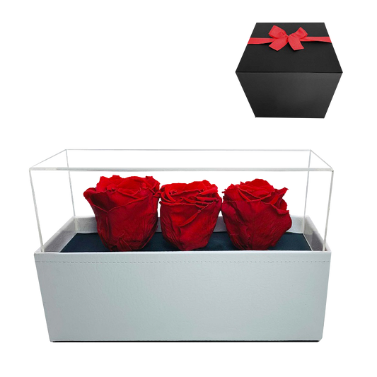 LUXURY 3 PRESERVED ROSES ARRANGEMENT - ACRYLIC TOP AND PU LEATHER BOX