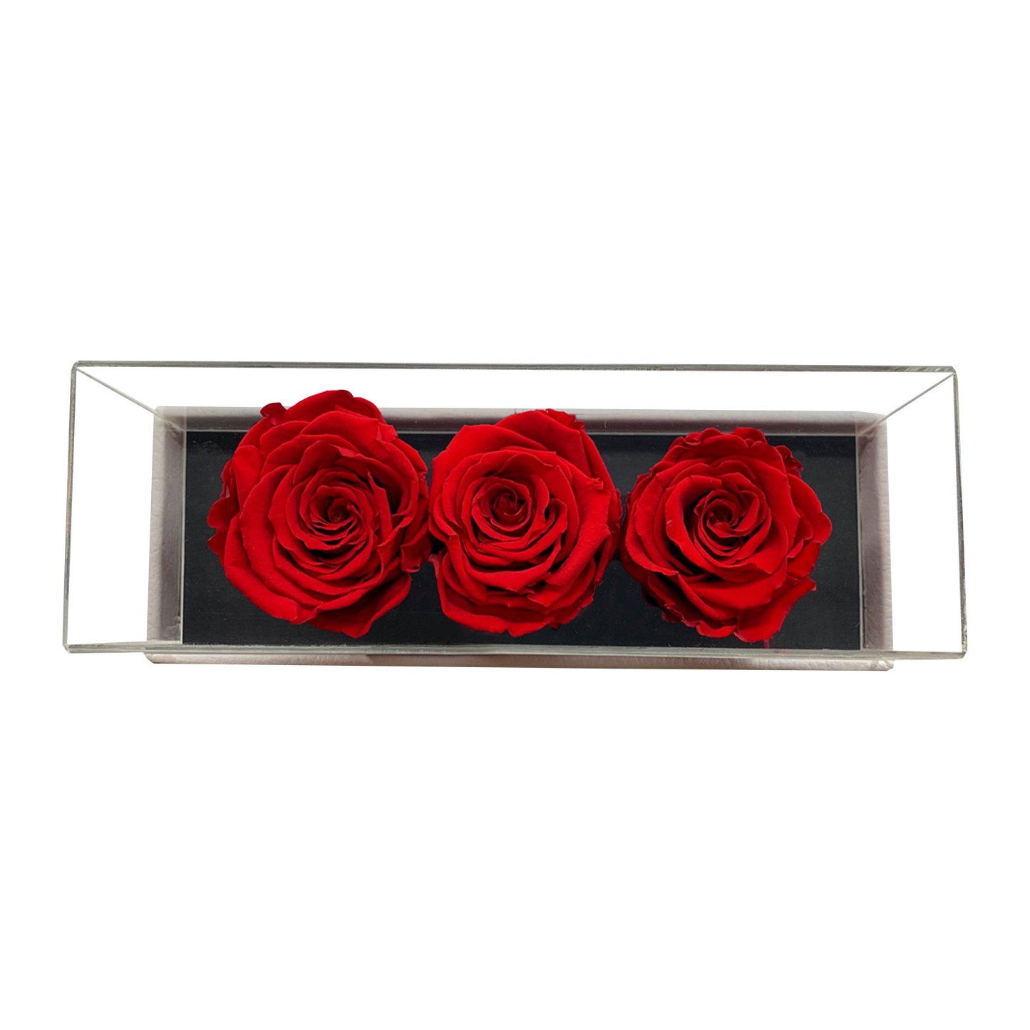 LUXURY 3 PRESERVED ROSES ARRANGEMENT - ACRYLIC TOP AND PU LEATHER BOX