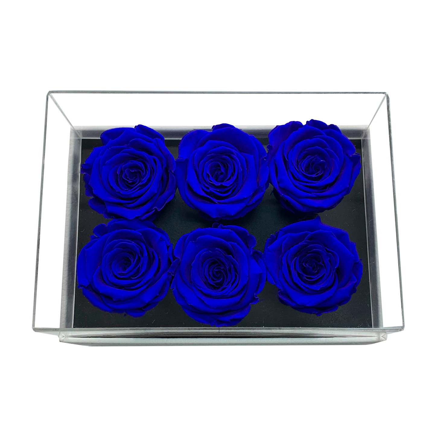 LUXURY 6 PRESERVED ROSES ARRANGEMENT - ACRYLIC TOP AND PU LEATHER BOX