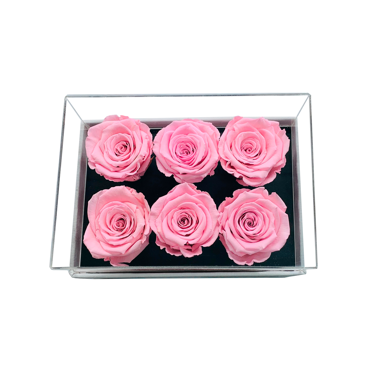 LUXURY 6 PRESERVED ROSES ARRANGEMENT - ACRYLIC TOP AND PU LEATHER BOX