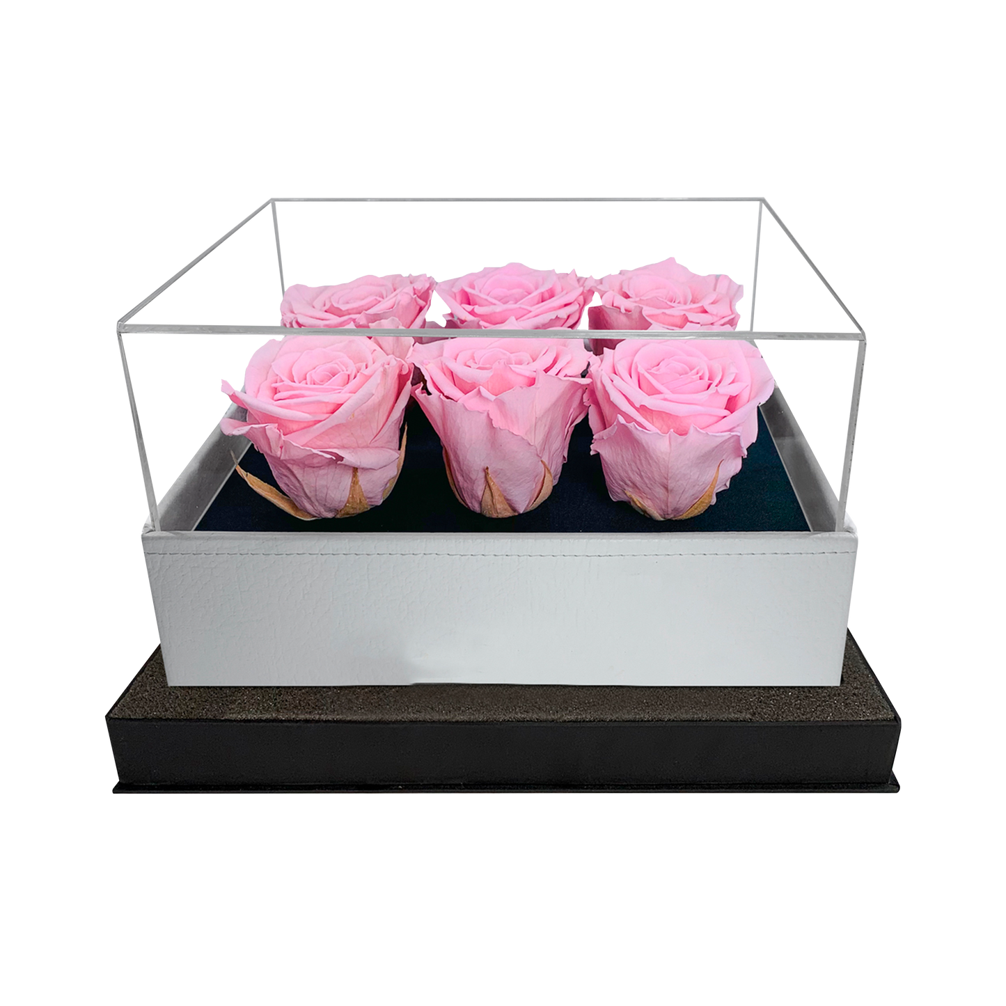 LUXURY 6 PRESERVED ROSES ARRANGEMENT - ACRYLIC TOP AND PU LEATHER BOX