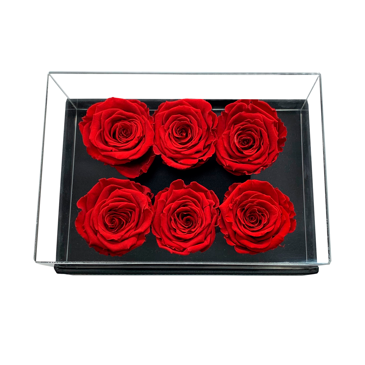 LUXURY 6 PRESERVED ROSES ARRANGEMENT - ACRYLIC TOP AND PU LEATHER BOX