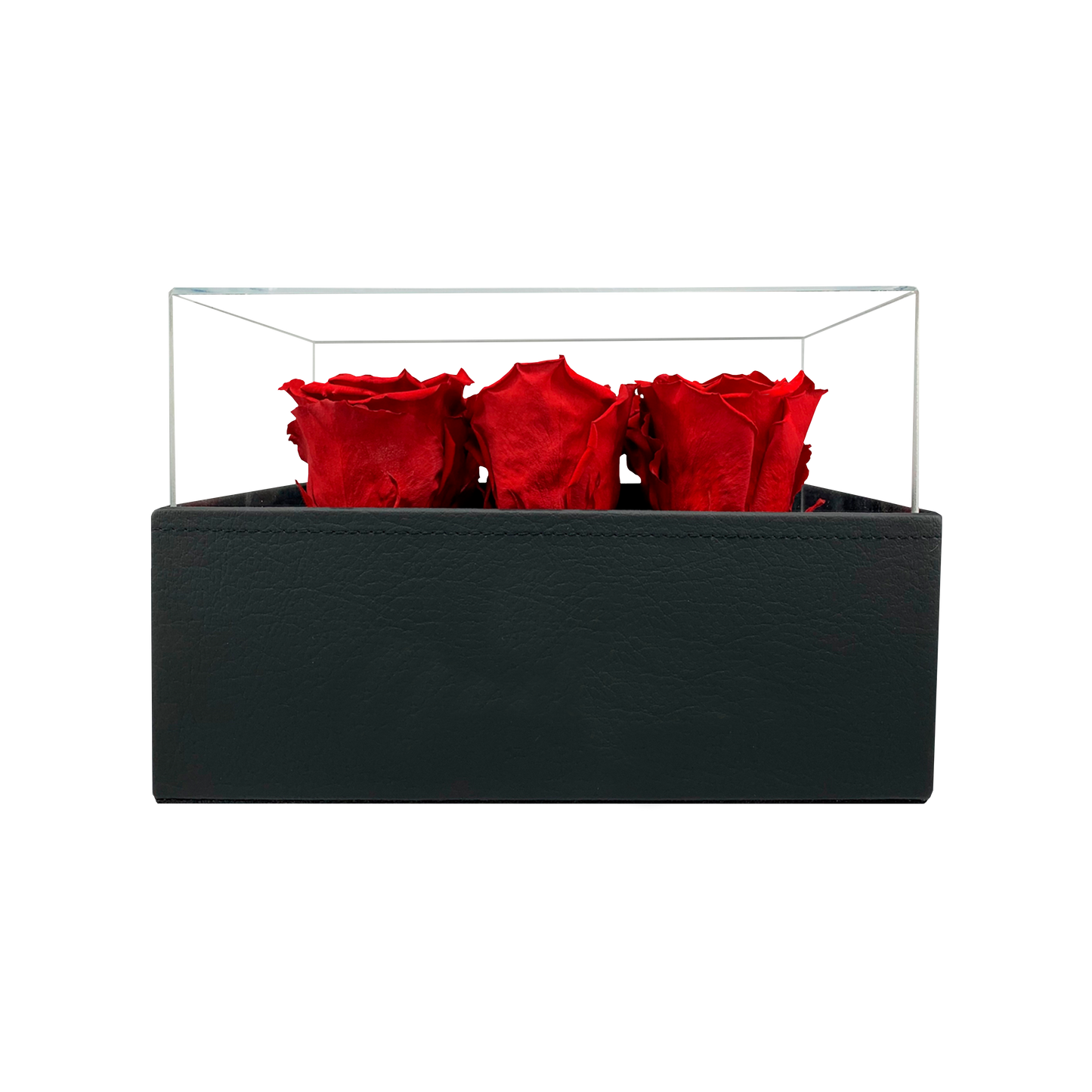 LUXURY 6 PRESERVED ROSES ARRANGEMENT - ACRYLIC TOP AND PU LEATHER BOX