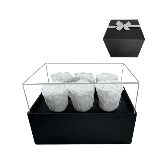 LUXURY 6 PRESERVED ROSES ARRANGEMENT - ACRYLIC TOP AND PU LEATHER BOX