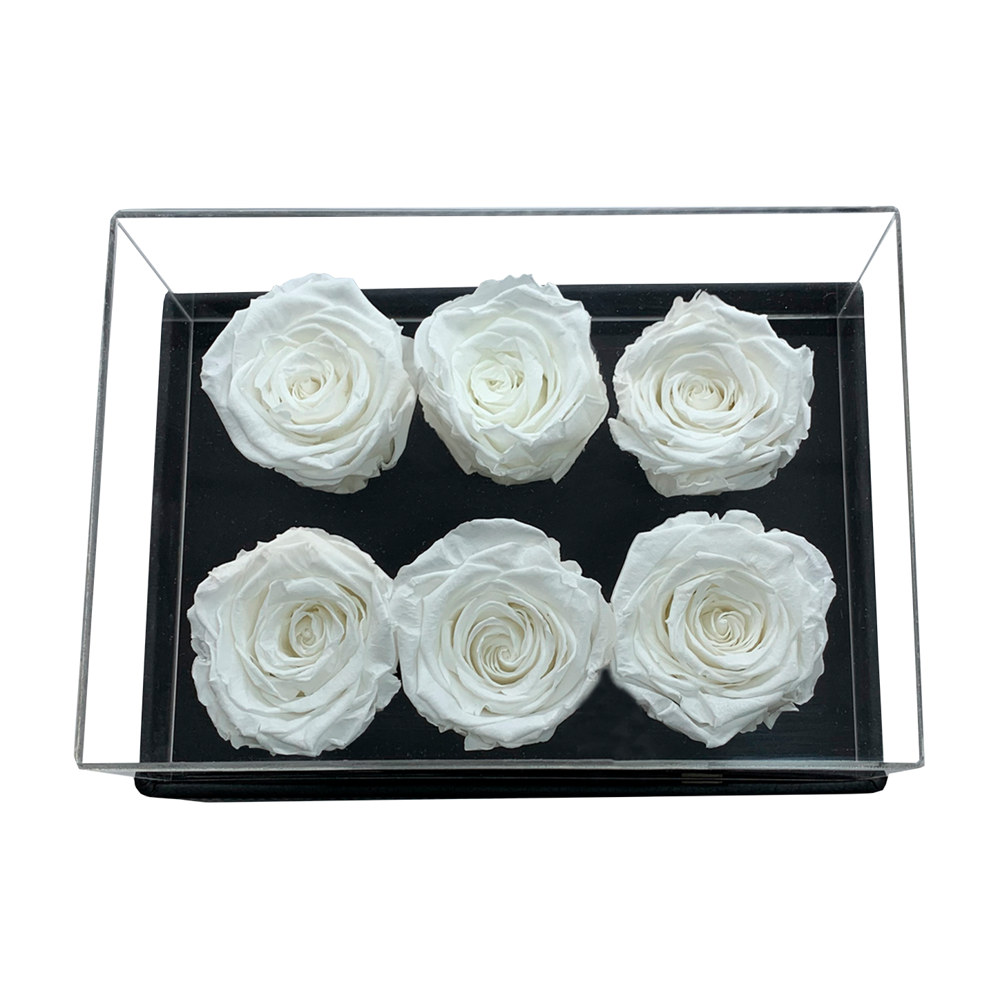 LUXURY 6 PRESERVED ROSES ARRANGEMENT - ACRYLIC TOP AND PU LEATHER BOX