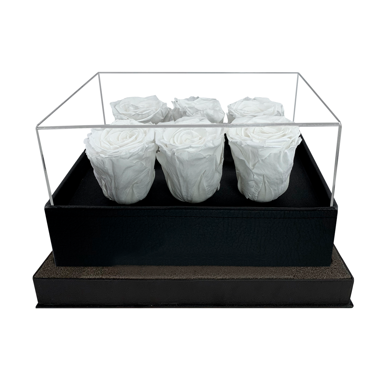 LUXURY 6 PRESERVED ROSES ARRANGEMENT - ACRYLIC TOP AND PU LEATHER BOX