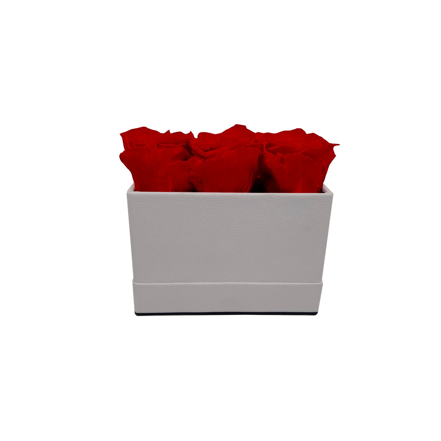 ARREGLO DE LUJO DE 3 ROSAS PRESERVADAS - CAJA RECTANGULAR DE CUERO PU