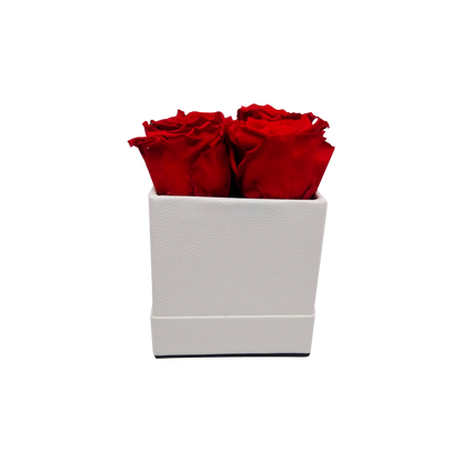 LUXURY ROSEAMOR 4 PRESERVED ROSES ARRANGEMENT - SQUARE PU LEATHER BOX - BMade